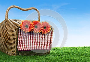 Picnic basket shot in meadow