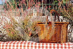 Picnic basket on the wall with red flowers