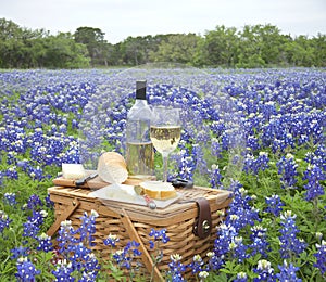 Picnic basket with wine, cheese and bread in a Texas Hill Countr