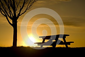 Picnic Bench Under Tree Silhouetted at Sunset