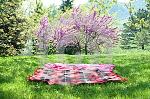 Picnic blanket