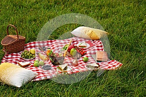 Picnic blanket with delicious snacks on grass