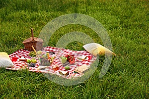 Picnic blanket with delicious snacks on grass