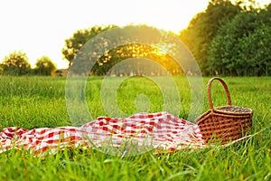 Picnic blanket and  on grass in park