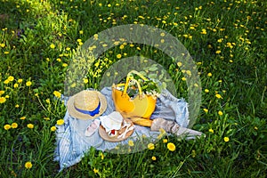 A picnic and a blanket on the green grass in the park, nature. Bag, hat, food