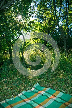 Picnic Blanket in the Woods