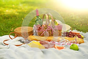 Picnic, camping in the gardens, romance and relaxation. Summer and mood. Weekend and vacation, sunny mood