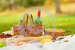 Picnic, camping in the gardens, romance and relaxation. Summer and mood. Weekend and vacation, sunny mood