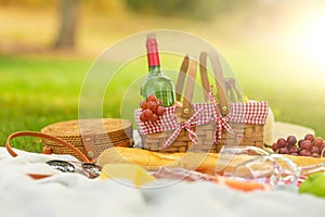 Picnic, camping in the gardens, romance and relaxation. Summer and mood. Weekend and vacation, sunny mood