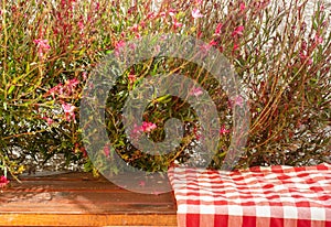 Picnic cloth on the table with red flowers