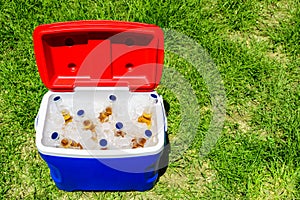 Picnic cooler box with beer bottles