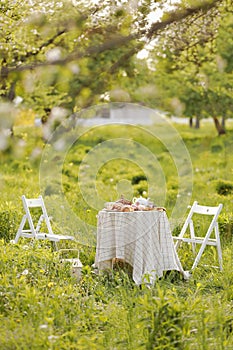 picnic with decorated table with croissants, fruits and drinks in beautiful blossom spring green park, romantic date