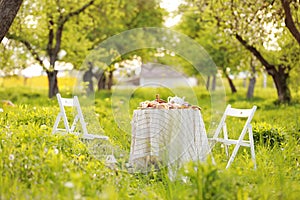 picnic with decorated table with croissants, fruits and drinks in beautiful blossom spring green park, romantic date