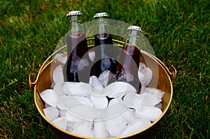 Picnic Drinks in an Ice Bucket