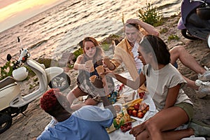 Picnic with friends. Cheerful young people spending good time together while sitting on the beach and having fun