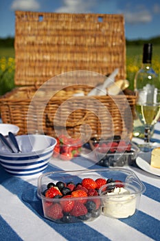 Picnic hamper on a striped blanket with wine, bread and mixed berries in a meadow with blue skies