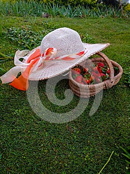 Picnic hat and basket full strawberry in green grass