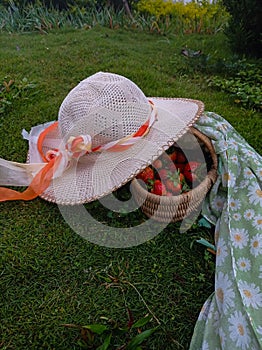 Picnic with hat, a basket of strawberry and scarf