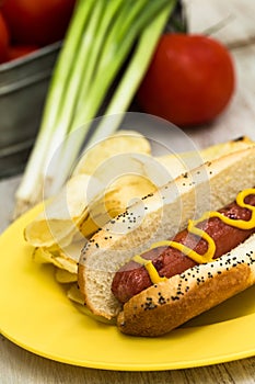 Picnic Hot Dog On Bun With Mustard