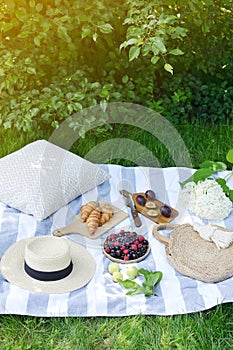 Picnic Instagram Style Food Fruit Bakery Berries Green Grass Summer Time