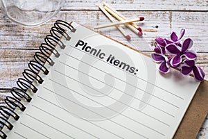 Picnic items list concept