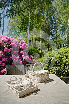 Picnic kit in domicile garden photo