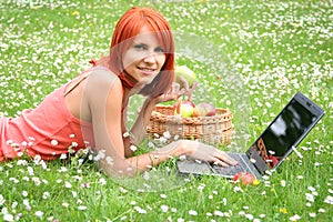 Picnic with laptop