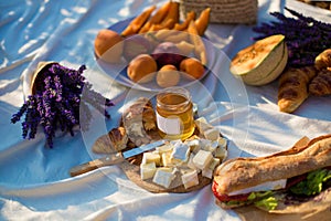 Picnic in lavender field background with wine, fruits, cheese and lavender honey in Provence
