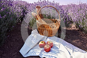 Picnic in the lavender fields with french baguette