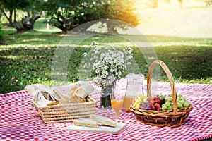 Picnic Lunch Meal Outdoors Park Food Concept, Closeup of picnic