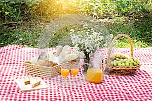 Picnic Lunch Meal Outdoors Park Food Concept, Closeup of picnic