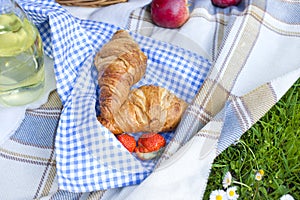 Picnic Lunch Meal Outdoors Park Food Concept, Closeup of picnic basket with drinks, food and flowers on the grass.Copy space
