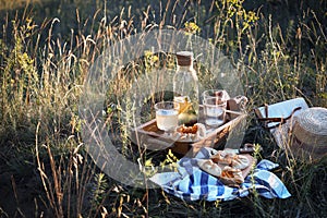 Picnic in a meadow
