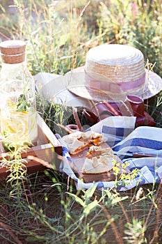 Picnic in a meadow