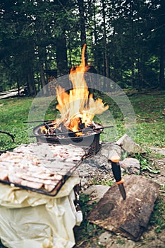 Picnic, meat on bonfire