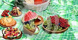 picnic in nature on a checkered blanket