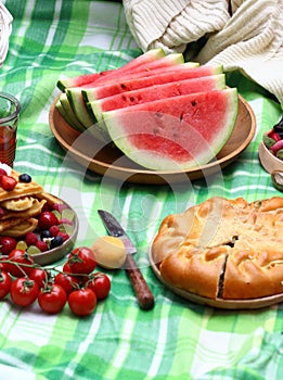 picnic in nature on a checkered blanket