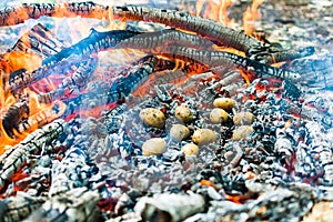 Picnic in nature. Cooking potatoes and kebabs over the fire. Fire texture. Coals and flames. Macro filming. Grill.