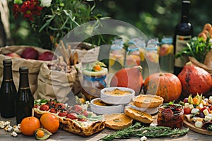 Picnic in nature with a pie with cherry tomatoes, pumpkin pies, wine, sun-dried tomatoes, lemonade