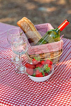 Picnic on the nature. Romantic dinner on the nature. Holidays on holidays or weekends. vertical photo photo