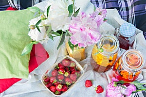 Picnic in the outdoor with strawberry and cold beverages