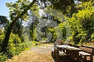 Mata de S. Domingos de Benfica, forest and park in Lisbon, Portugal: the picnic park photo