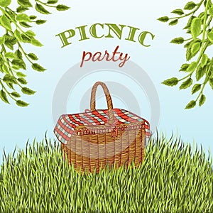 Picnic party in meadow with picnic basket and tree branches. Summer vacation.