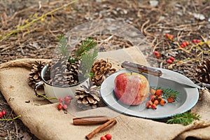 Picnic in a pine forest. A metal vintage bowl with an apple, rose berries, spruce branches and a knife with cones around