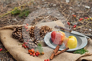 Picnic in a pine forest. A metal vintage bowl with an apple, rose berries, spruce branches and a knife with cones around