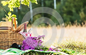 Picnic with red and white wine