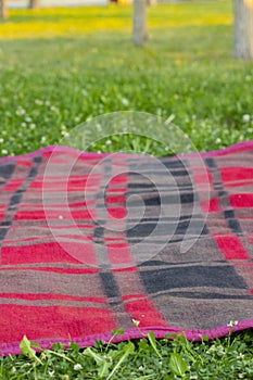 Picnic or Beach mat and grass Background in summer