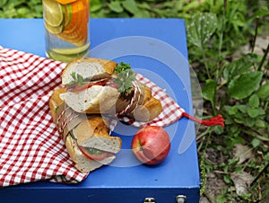 Picnic - sandwiches and lemonade