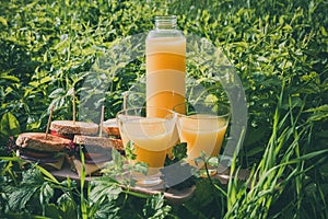 Picnic with sandwiches and orange juice on a green grass in spring-summer time.