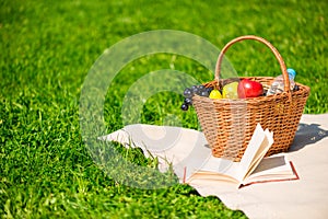 Picnic set on the blanket on the lawn